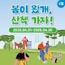 멍멍아 산책가자 이미지