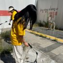 피부관리·경락(수) 이미지