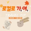 소반농장 | 가을국내여행 꿀팁 로컬로 가을여행 신청기간 방법
