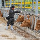 하향농장 이미지