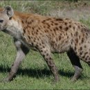 효성약국 이미지