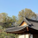 날이좋아서 | 서계종택 웨딩 | 하객 후기 | 날이 좋아서 하객으로 함께 한 시간 모두 눈이 부셨다.