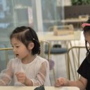 리프패럿 롯데마트 광복점 이미지