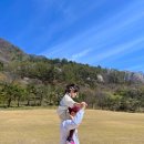 영남대로 | 문경새재 왕과사는남자 오픈세트장 후기 아이와 함께 가도 만족했던 곳