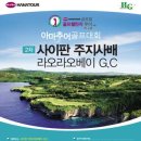 하나글로벌투어