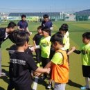 용인대 온누리 태권도장 이미지