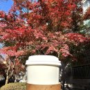 성남대로779번길 이미지