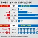 러우전쟁 사망자 교환비 떴음 이미지