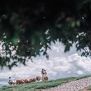 행복한날 이미지