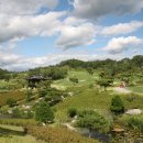 G존골프 이미지