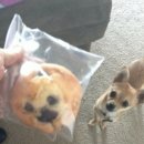 착한고깃간부영 이미지