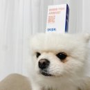 도기슈퍼 이미지