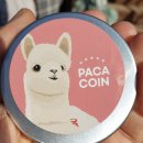 세인목장 | 강원도 홍천 알파카월드 다녀온 후기