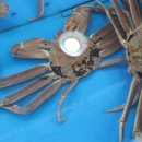 영해시장 공영주차장 내 이미지