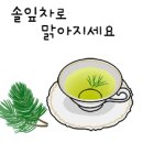 🌷[오늘의 고사성어] 사공명 주생중달(死孔明 走生仲達) - 죽은 공명이 산 중달을 쫓다. 이미지