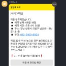 데이그루밍 | 창원 서상동 데이그루밍 중동 애견미용 창원 중동 유니시티 미용실 반려견 로로 인생미용실