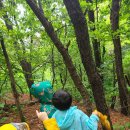 하늘 숲 어린이집 이미지