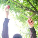 장락동 마을회관 이미지