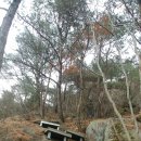 양리샘터 이미지