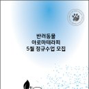 더힐테라피센터 이미지