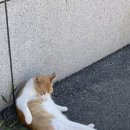 나곡해수욕장 이미지