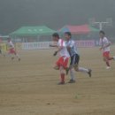 일죽중·고등학교 이미지