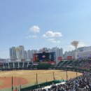 홍당무김밥 | 2026 사직야구장 F&amp;B 신규매장 뿌시고 온 후기