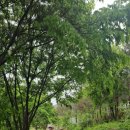 강원과학고등학교 이미지