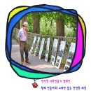 신천지, 4대악 피해자 없는 세상 만들기에 앞장선 신천지 자원봉사단 이미지