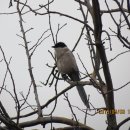 교산동 건물지 이미지