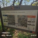 솔터마을입구버스정류장주변 | [26.04.24-25] 서해랑길 98-97 코스 거꾸로 걷기
