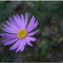 연합농장 이미지