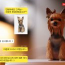 마리엘피규어
