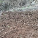 인암농원 이미지