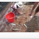 드 림 로 이미지