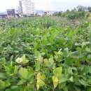 주덕읍사무소 이미지