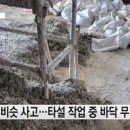 [단독] '안성 공사장 붕괴' 전조 있었다..."4시간 전 이미 사고" 이미지