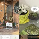 봉방2길 21, (봉방동) 이미지