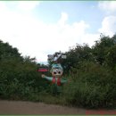 조견사우 티스토리