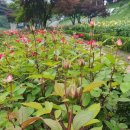 묵동장로교회 이미지