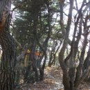 도곡1리 이미지