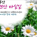 5월 31일(화) 부안 변산 마실길 2코스/ 한여름의 눈꽃 샤스타데이지/새만금방조제 .♡30,000원 조중식(찰밥).37리무진운행 이미지