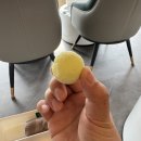 자연인힐링족욕 | [제주 2박3일] Day2:: 제주 족욕 체험 추천 자연인 제주족욕｜제주투어패스 무료 이용 후기