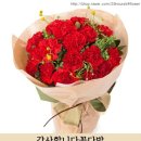 25시플라워