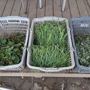 희망영농 이미지