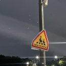 연못가든 이미지