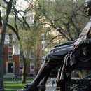 하버드식당 이미지