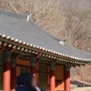 제방안길2 네이버블로그