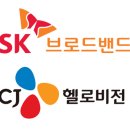 (주)에스케이비전 이미지