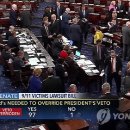 (주)고릴라바나나 이미지
